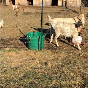 Meet your Posher, Katherine